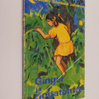 Dorothy Grunbock Johnston : Ginger ja noitatohtori - pikkukuva 1