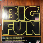 Big Fun - Blame It On The Boogie 12” Maxi - pikkukuva 2