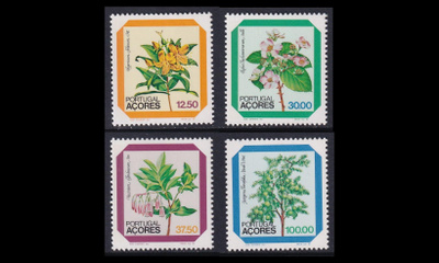 Azorit 358-61 ** Kukkia (1983)