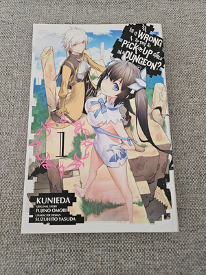 Is It Wrong to Try to Pick Up Girls in a Dungeon? #1