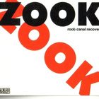 cd, Zook - Root Canal Recovery [rock, blues rock] - pikkukuva 1