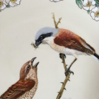 Lintu Seinälautanen "neuntöter" Ø25cm Heinrich Villeroy&Boch - pikkukuva 3