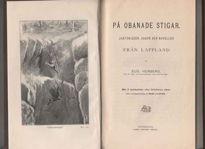 Hemberg, Eug.: På obanade stigar, Stockholm, 1896, 248 sido