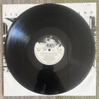 STEVE MILLER BAND: Living In The 20th Century (LP) 1986 - pikkukuva 5