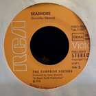 THE SURPRISE SISTERS :: LA BOOGA BOOGA :: VINYYLI 7" 1976 ! - pikkukuva 3