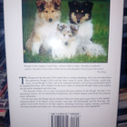 Clark : Rough & Smooth Collies ( SIS POSTIKULU ) - pikkukuva 2