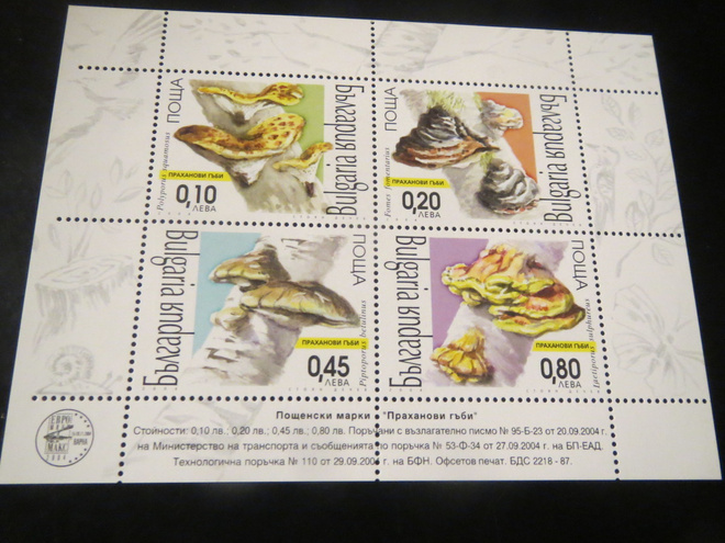 Bulgaria 2004: pienoisarkki - kääpäsienet