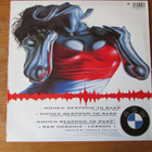 Renegade Soundwave – Women Respond To Bass (RARE tekno 1992) - pikkukuva 4