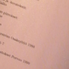 Maailmanhistorian pikkujättiläinen (sid.) - pikkukuva 2