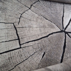 Jättikokoinen matto kuin puunrunko 200 x 290 cm - pikkukuva 2