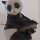 Lomonosov, panda! - pikkukuva 1