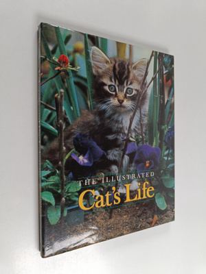 Warren Eckstein : The Illustrated Cat's Life