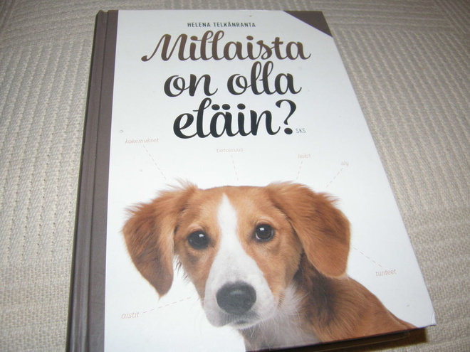 Helena Telkänranta Millaista on olla eläin? -sid