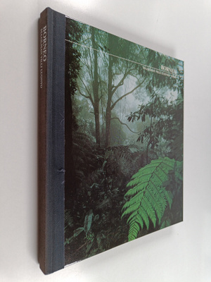 John MacKinnon : Borneo
