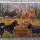 Aihekokoelma Kennel toiminta 17.3.1989 - pikkukuva 1