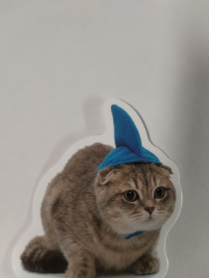 Kissa tarra.