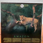 Matti Rag Paananen - Amazon LP - pikkukuva 2