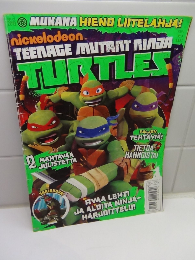 TURTLES NO: 1  - 2013
