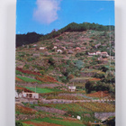 Guido de Monterey : Madeira ja Porto Santo : kaksi saarta... - pikkukuva 2
