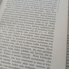 Sören Kierkegaard - Kärsimysten evankeliumi (sid.) - pikkukuva 3