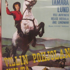 VILLIN POHJOLAN KULTA DVD - pikkukuva 1