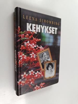 Leena Sihombing : Kehykset