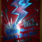 Ennätyskirja 2014 ja Ripleys believe or not 2013 - pikkukuva 2