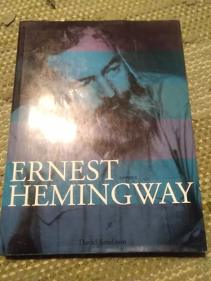 David Sandison: Ernest Hemingway