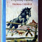 Thomas C. Hinkle: Myrskytuuli / Musta tiikeri - pikkukuva 1