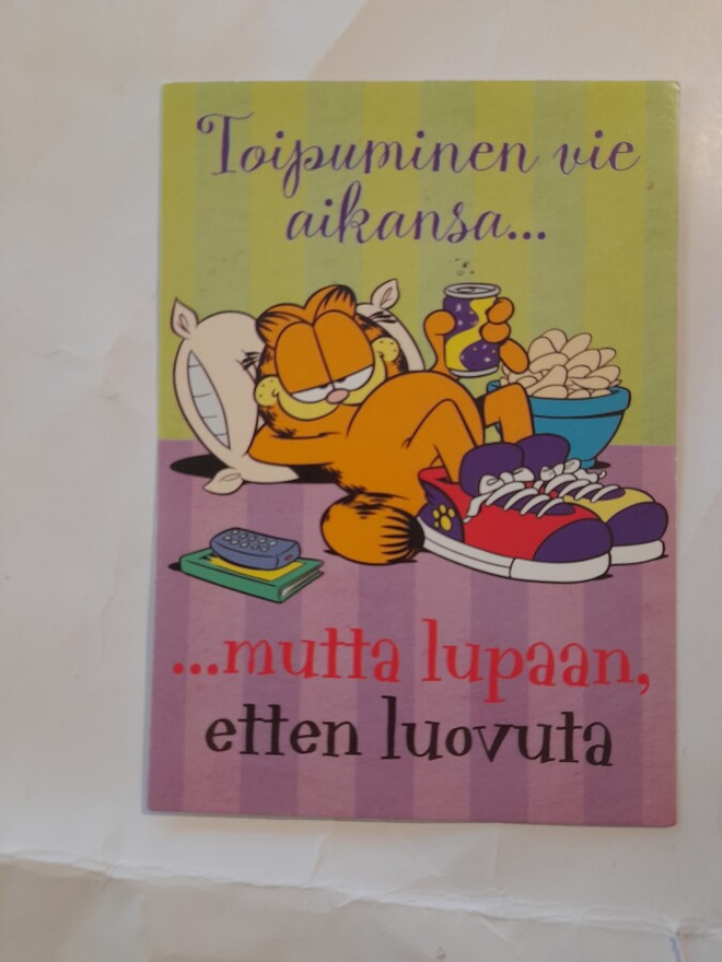Karvinen - Toipuminen vie aikansa..