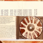 Electric Blue Peggy Sue/Revolutionions From Mars - Family fa - pikkukuva 2