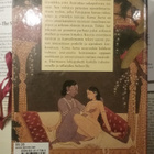 Kama sutra: rakastunut mies, aistillinen nainen (sid.) - pikkukuva 2