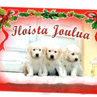 Koiranpennut... °°Iloista Joulua°°- KORTTI /Anki - pikkukuva 1
