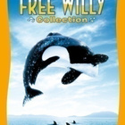 FREE WILLY Collection (mukana kaikki 4 elokuvaa!) 4DVD*UUSI* - pikkukuva 1