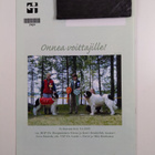 Landseer 2/05 - pikkukuva 2
