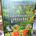 Piippo  : Elinvoimaa puista ( SIS POSTIKULU  ) - pikkukuva 2