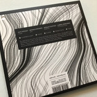 Red Trio + Nate Wooley . Stem CD - pikkukuva 3