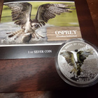 New Zealand, Birds of Prey Osprey 1 oz hopearaha - pikkukuva 1