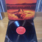 Alice In Chains - Dirt LP - pikkukuva 1