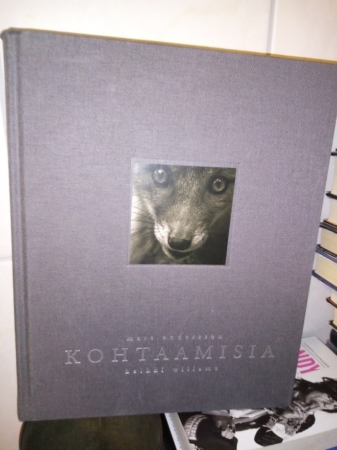 ANDERSSON -   WILLAMO  :  KOHTAAMISIA ( SIS POSTIKULU )