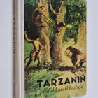 Edgar Rice Burroughs : Tarzanin viidakkoseikkailuja - pikkukuva 1