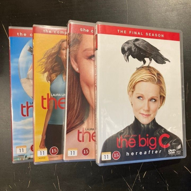 Viimeistä päivää - koko sarja 10DVD