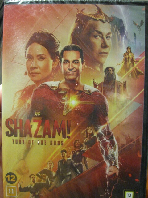 SHAZAM! FURY OF THE GODS DVD