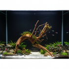 Uniikki akvaariojuurakko 70 cm | P092618 - pikkukuva 3