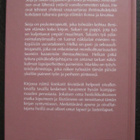 Kumppanina kurkihirren alla - pikkukuva 2