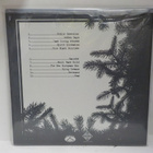 SILENT SCREAM - PUBLIC EXECUTION M-/M- LP - pikkukuva 2