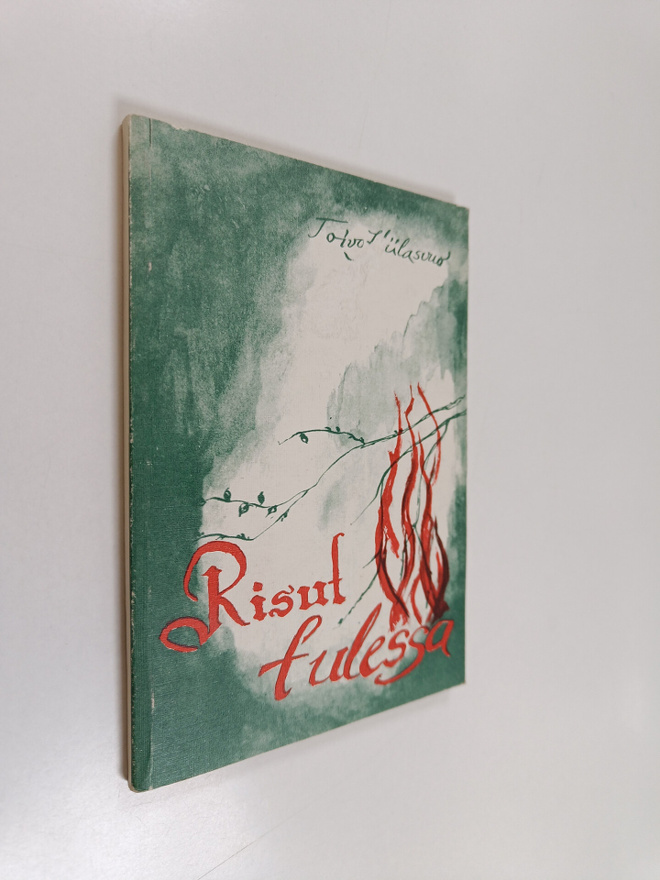 Toivo Hiilasvuo : Risut tulessa