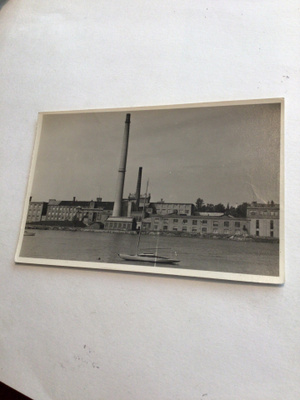 Vaasa,Vaasan puuvilla