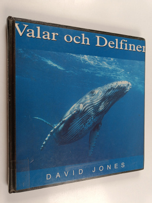 David Jones : Valar och delfiner