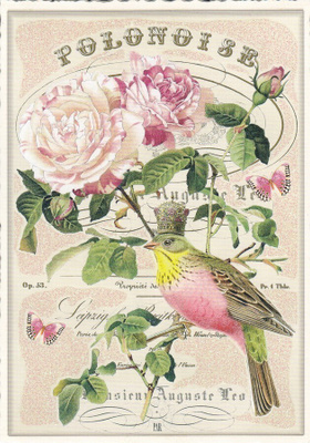 Polonoise  (Tausendschön-kortti)